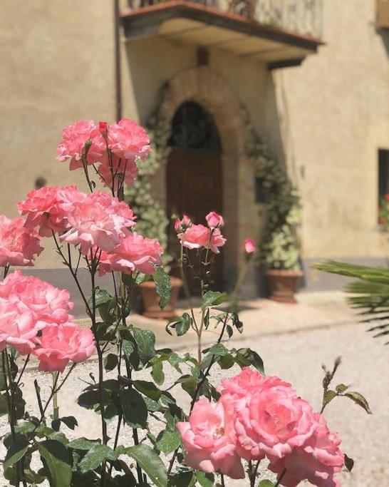 "Villa Bizzi" Monte Castelli Ngoại thất bức ảnh